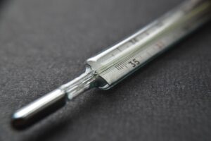 Jak działa e-ZLA online? Podpowiadamy najistotniejsze szczegóły!